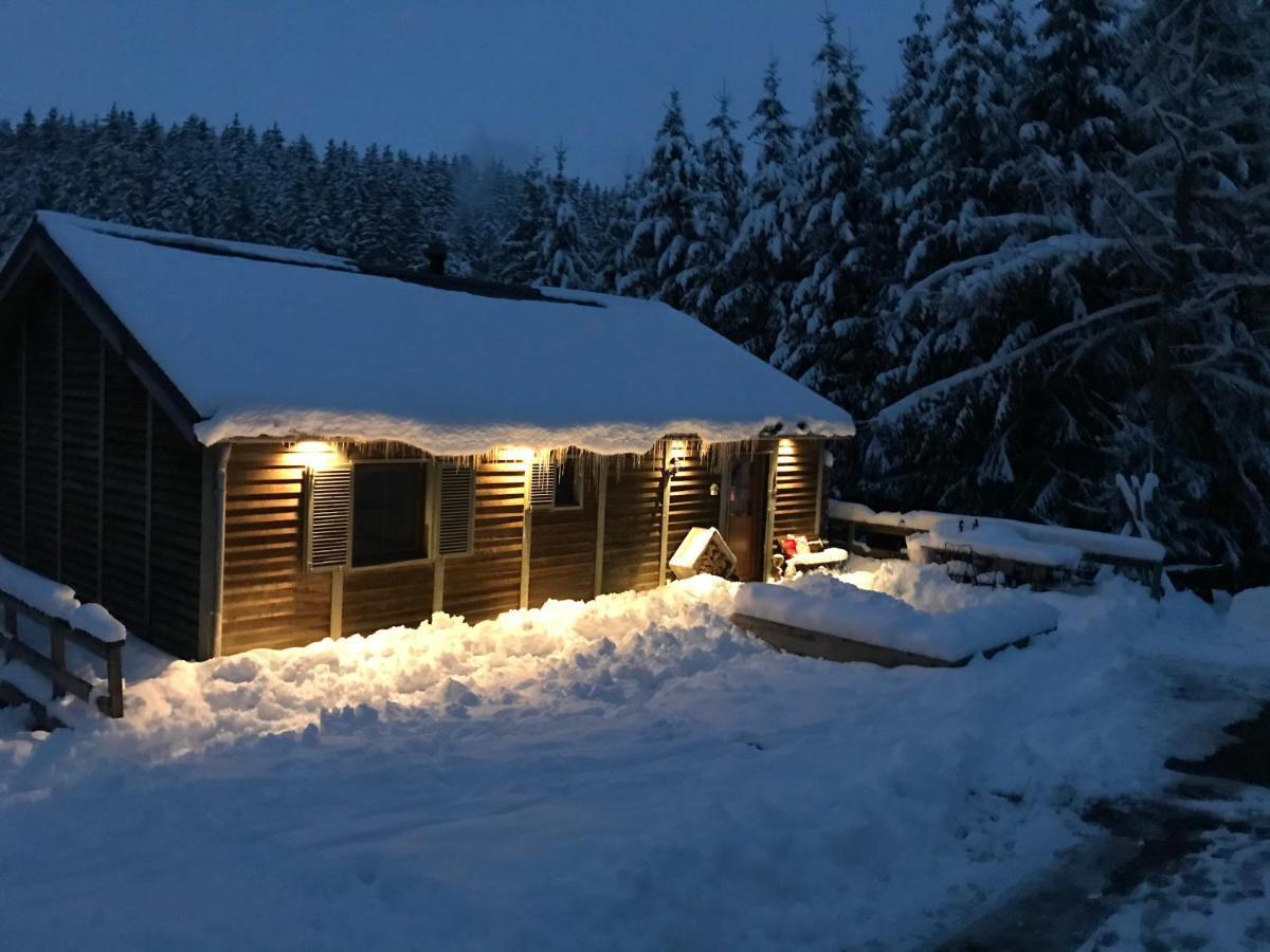 Chalet Le Grand Cerf Büllingen Exterior foto